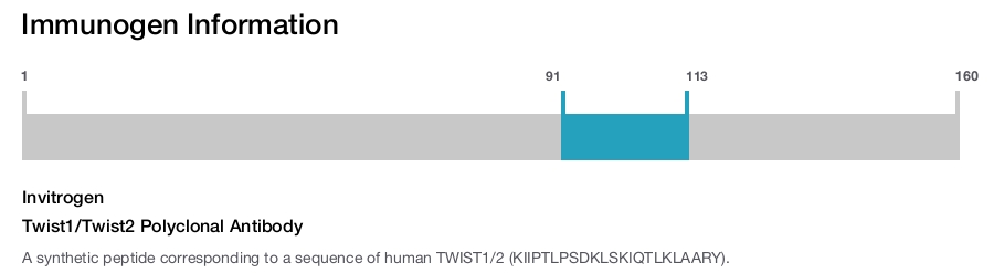 Twist1/Twist2 Polyclonal Antibody