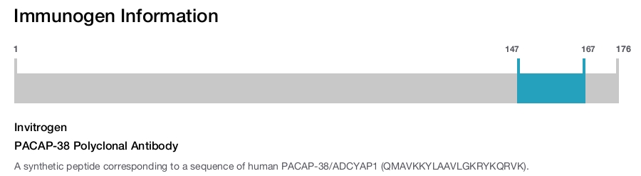 PACAP-38 Polyclonal Antibody