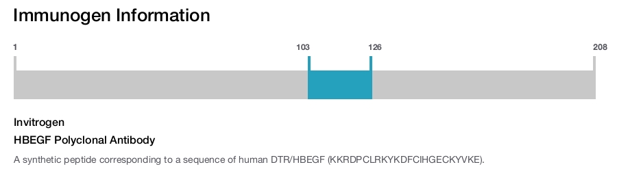 HBEGF Polyclonal Antibody