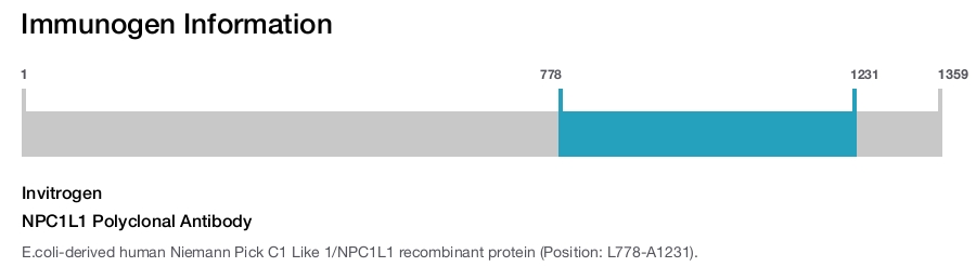NPC1L1 Polyclonal Antibody