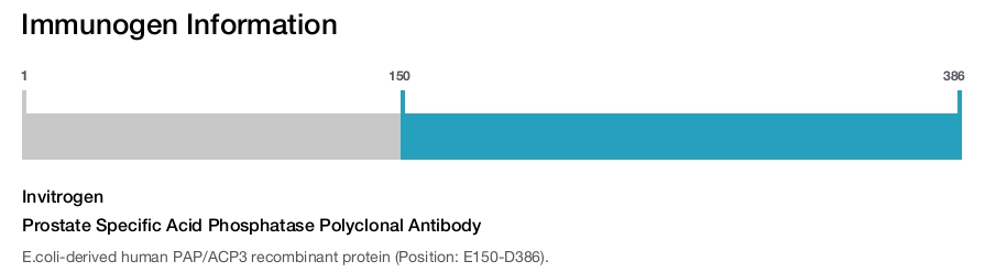 Prostate Specific Acid Phosphatase Polyclonal Antibody