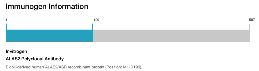 ALAS2 Polyclonal Antibody