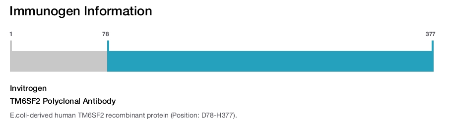 TM6SF2 Polyclonal Antibody