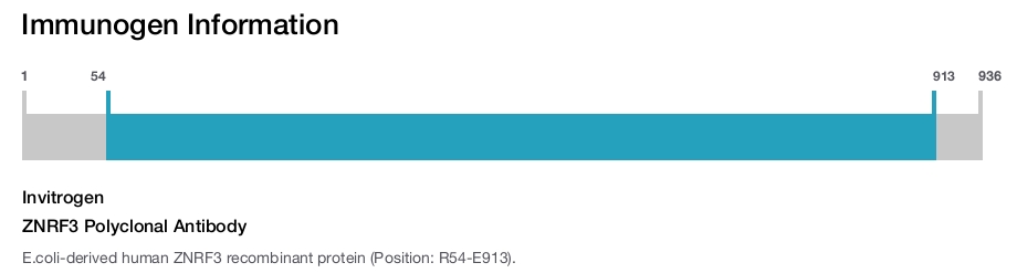 ZNRF3 Polyclonal Antibody