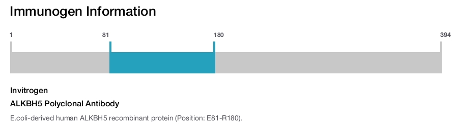 ALKBH5 Polyclonal Antibody