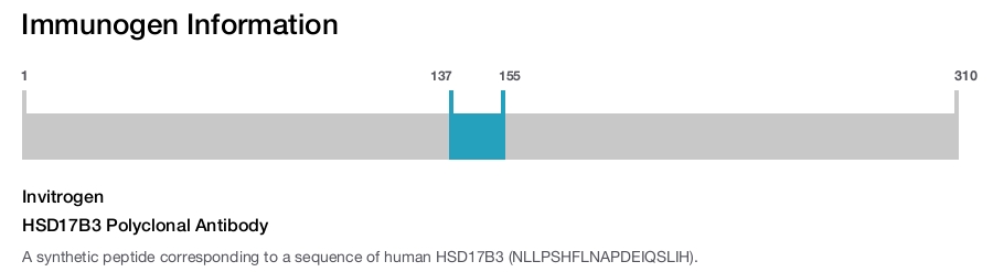 HSD17B3 Polyclonal Antibody
