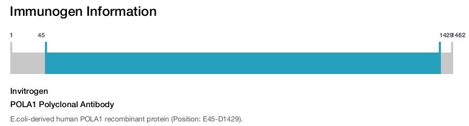 POLA1 Polyclonal Antibody