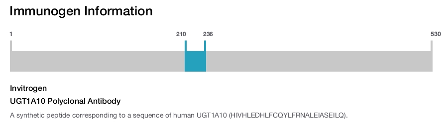 UGT1A10 Polyclonal Antibody