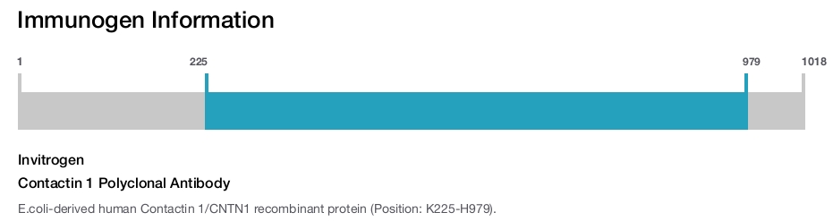 Contactin 1 Polyclonal Antibody