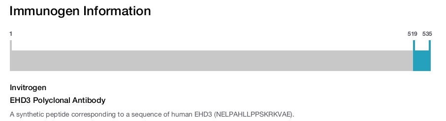 EHD3 Polyclonal Antibody