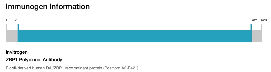 ZBP1 Polyclonal Antibody