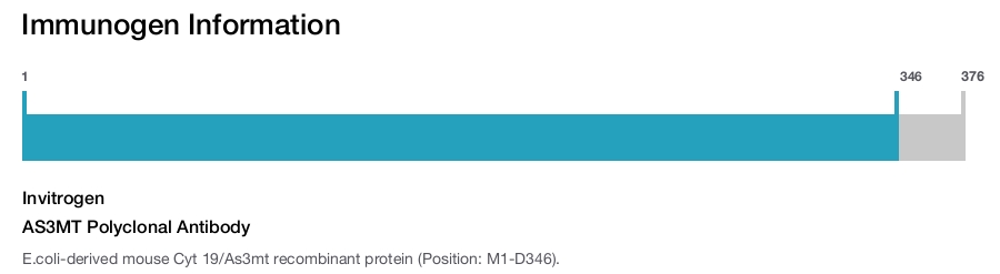 AS3MT Polyclonal Antibody
