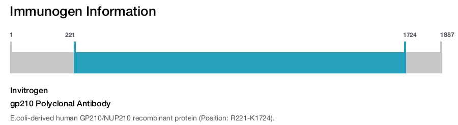 gp210 Polyclonal Antibody