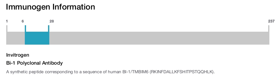 Bi-1 Polyclonal Antibody