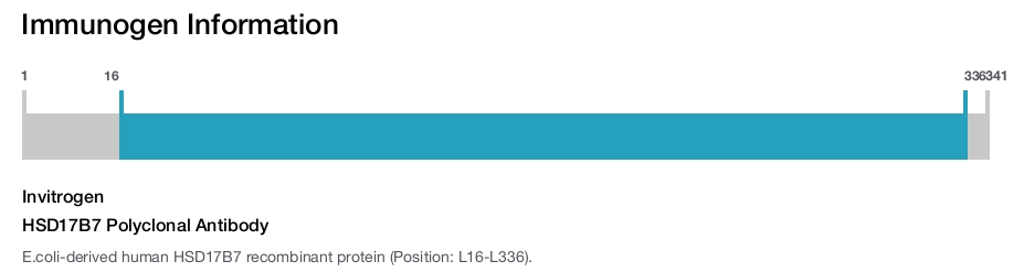 HSD17B7 Polyclonal Antibody