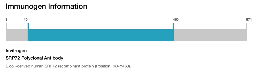 SRP72 Polyclonal Antibody