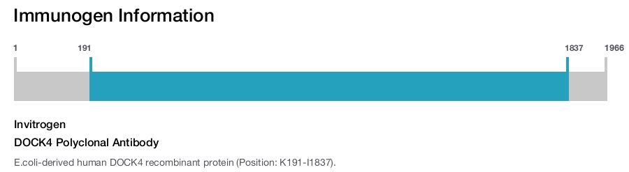 DOCK4 Polyclonal Antibody