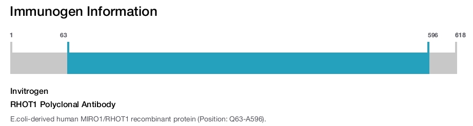 RHOT1 Polyclonal Antibody