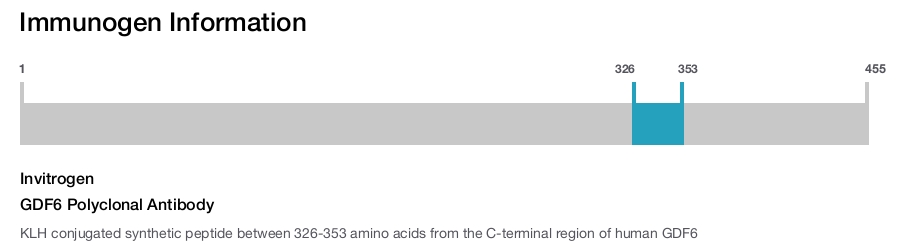 GDF6 Polyclonal Antibody