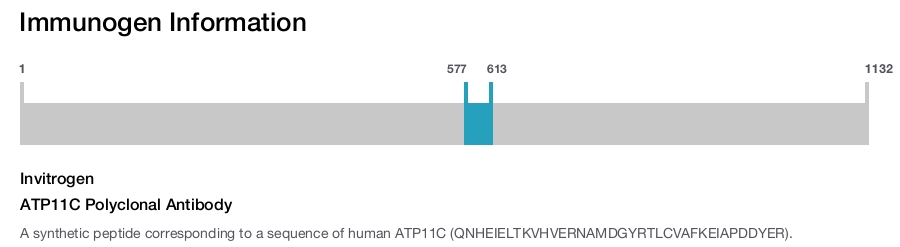 ATP11C Polyclonal Antibody