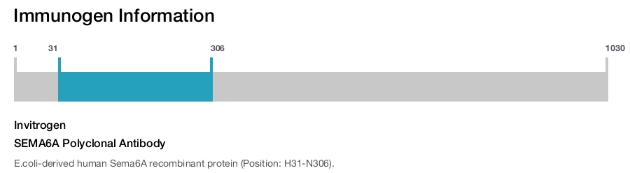 SEMA6A Polyclonal Antibody
