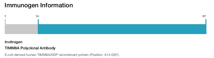 TIMM8A Polyclonal Antibody