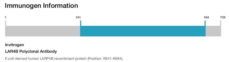 LAR4B Polyclonal Antibody