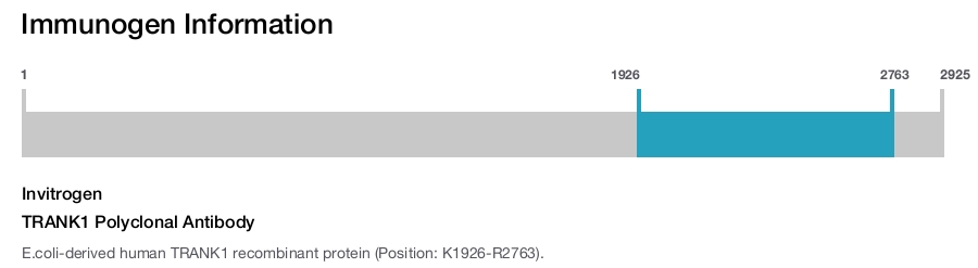 TRANK1 Polyclonal Antibody