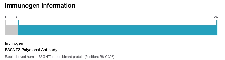B3GNT2 Polyclonal Antibody