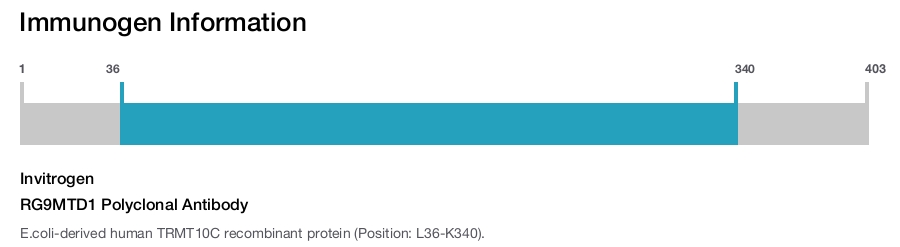 RG9MTD1 Polyclonal Antibody