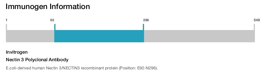 Nectin 3 Polyclonal Antibody