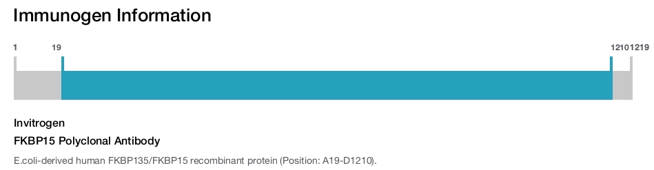 FKBP15 Polyclonal Antibody