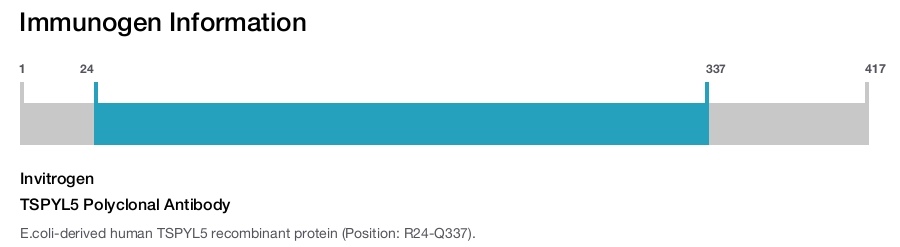 TSPYL5 Polyclonal Antibody