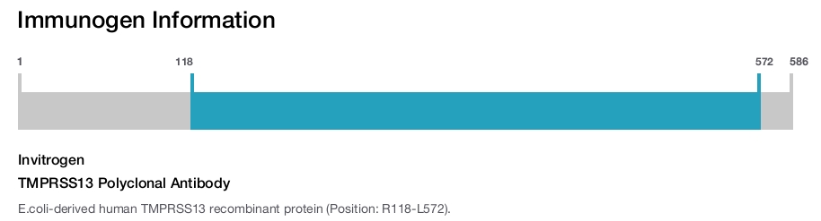 TMPRSS13 Polyclonal Antibody