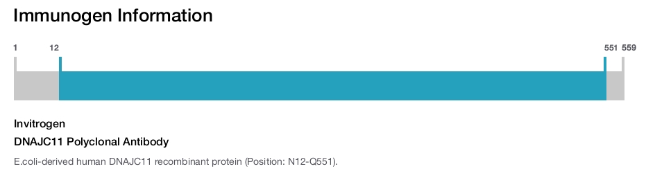 DNAJC11 Polyclonal Antibody