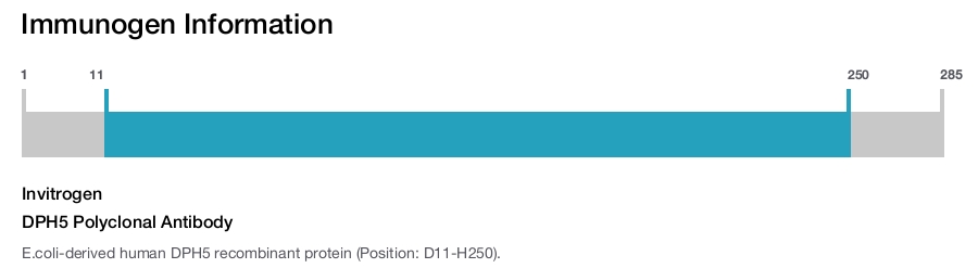DPH5 Polyclonal Antibody