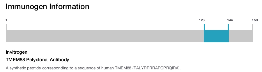 TMEM88 Polyclonal Antibody