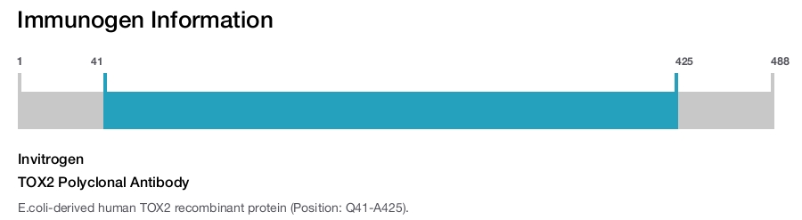 TOX2 Polyclonal Antibody