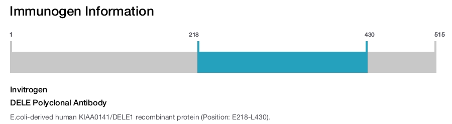 DELE Polyclonal Antibody