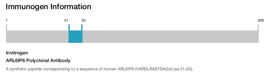 ARL6IP6 Polyclonal Antibody