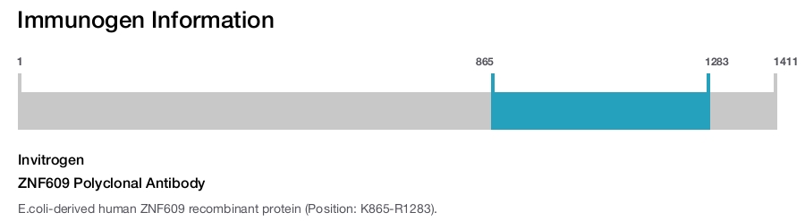 ZNF609 Polyclonal Antibody