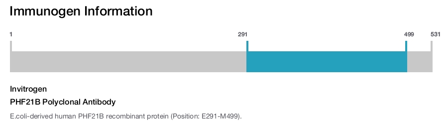 PHF21B Polyclonal Antibody