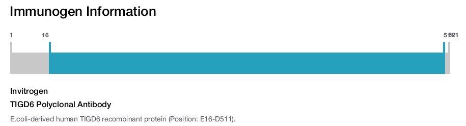 TIGD6 Polyclonal Antibody