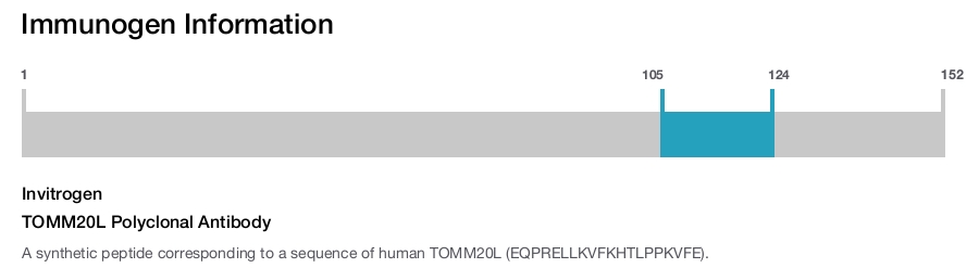 TOMM20L Polyclonal Antibody