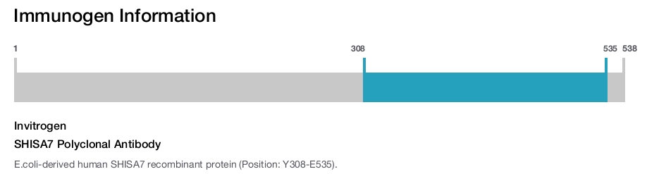 SHISA7 Polyclonal Antibody