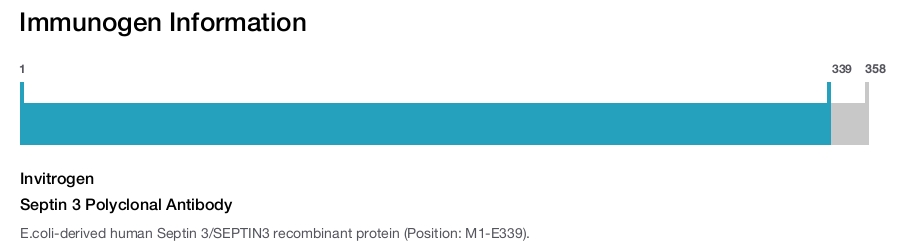 Septin 3 Polyclonal Antibody