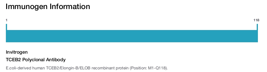TCEB2 Polyclonal Antibody