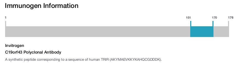 C19orf43 Polyclonal Antibody