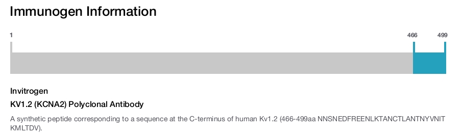 KV1.2 (KCNA2) Polyclonal Antibody