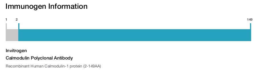 Calmodulin Polyclonal Antibody